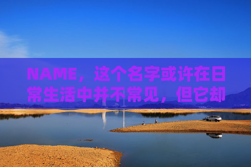 NAME,这个名字或许在日常生活中并不常见,但它却在某些领域里扮演着重要的角色。今天,让我们一起来探索这个名字背后的故事和意义